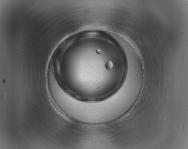 X0000070220864200606021319