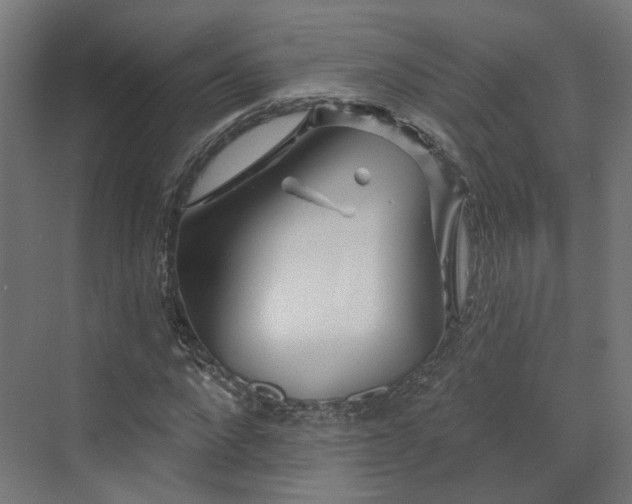 X0000070220872200606021319