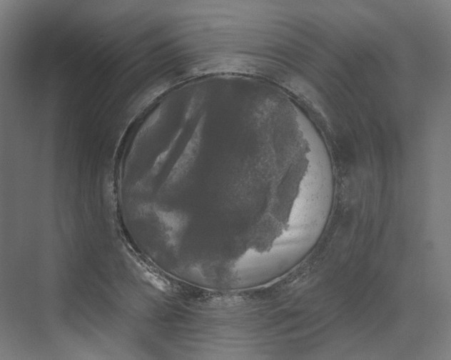 X0000070220882200606021318