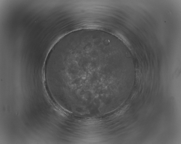 X0000070220891200606021318
