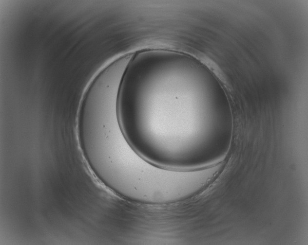 X0000070220904200606021318