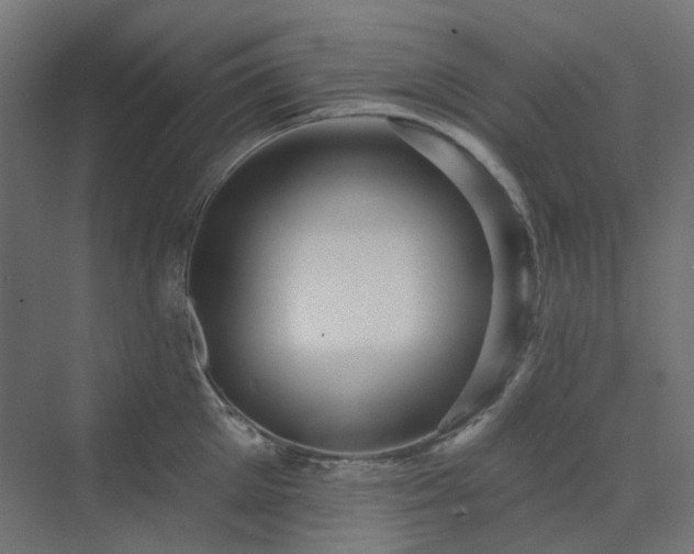 X0000070220905200606021318