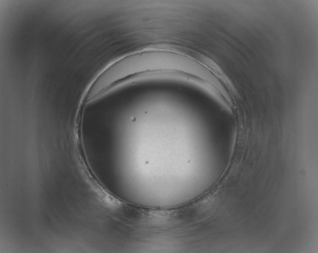 X0000070220908200606021318