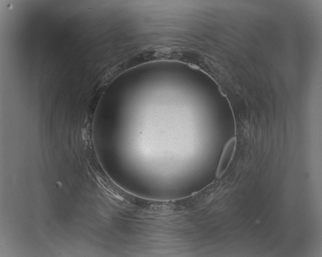 X0000070220914200606021317