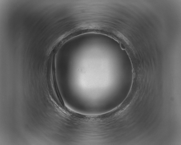 X0000070220922200606021317