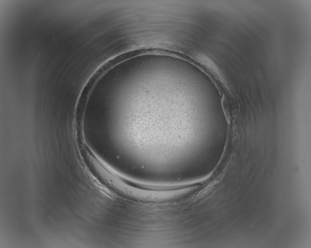 X0000070220924200606021317