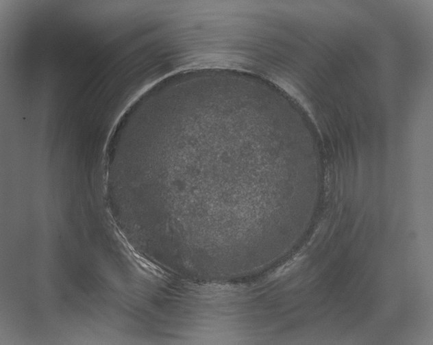 X0000070220925200606021317