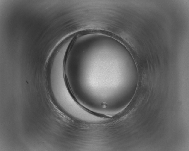 X0000070220926200606021317