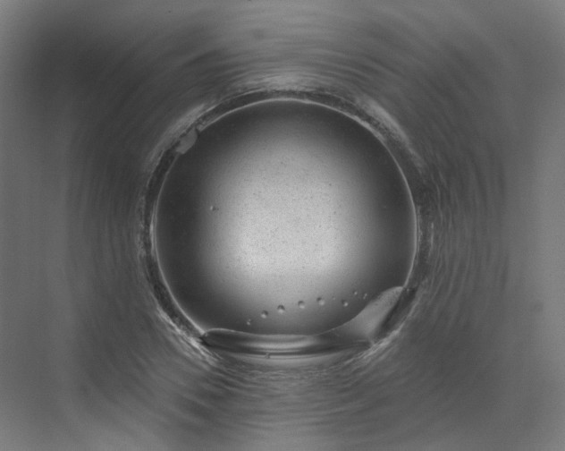 X0000070220930200606021317