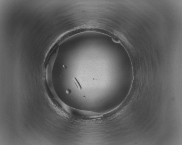 X0000070220934200606021317