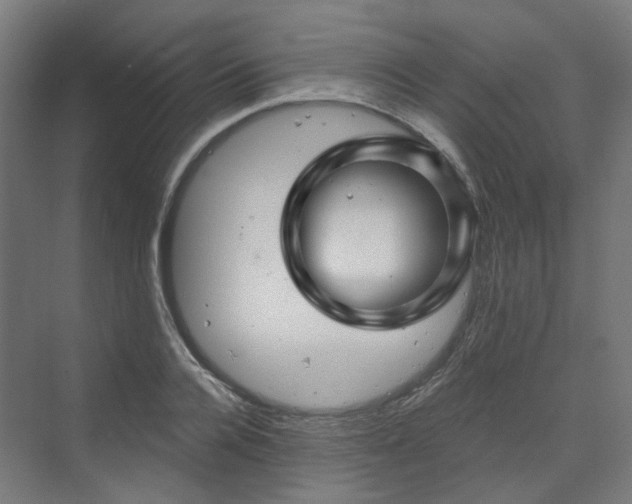 X0000070220936200606021317