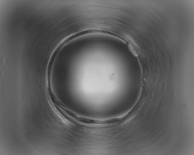 X0000070220940200606021317