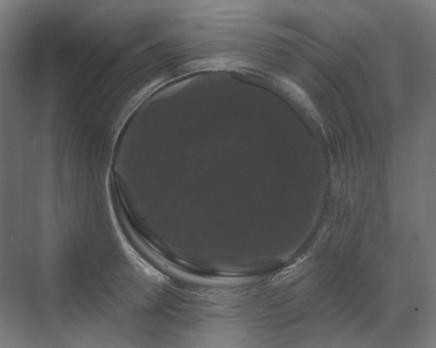 X0000070220946200606021318