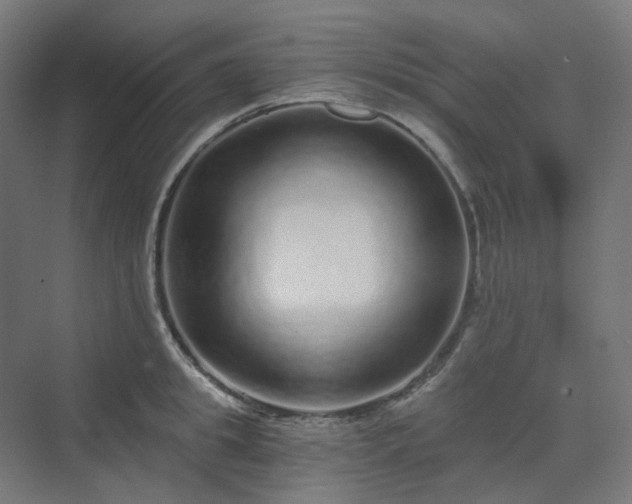 X0000070220949200606021318