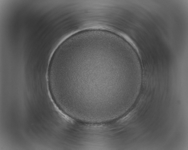X0000070220951200606021318