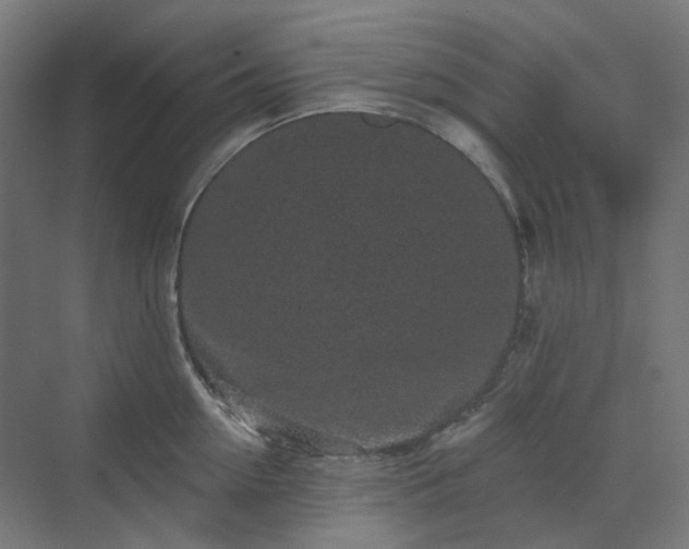X0000070220954200606021318
