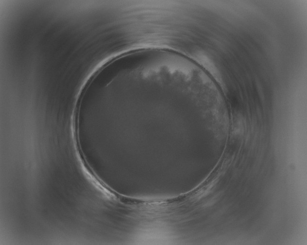 X0000070220958200606021318
