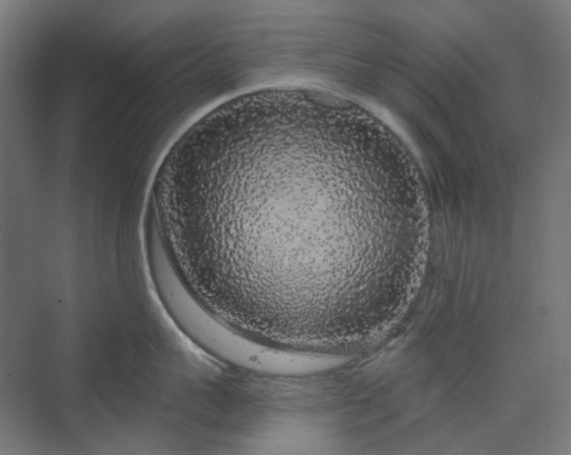 X0000070220959200606021318