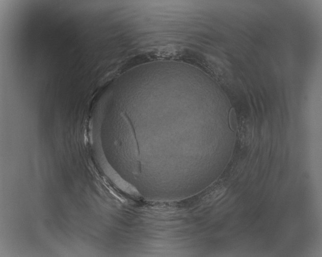 X0000070220962200606021317