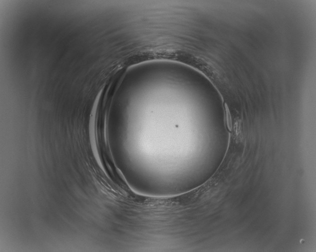 X0000070220963200606021317