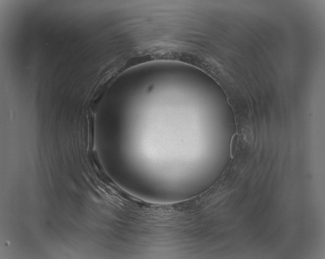 X0000070220964200606021317