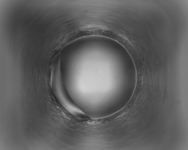 X0000070220965200606021317