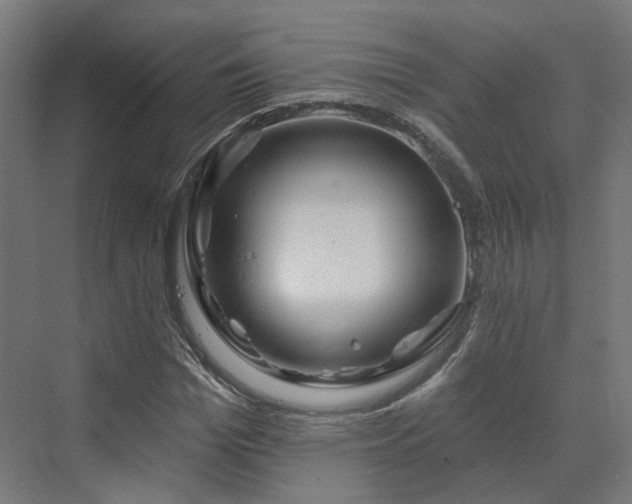 X0000070220969200606021317