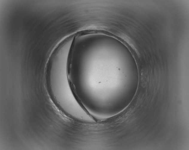 X0000070220972200606021317