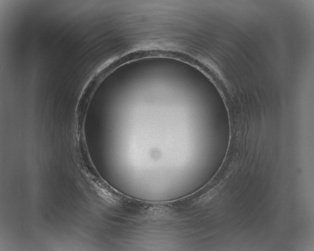 X0000070220974200606021317