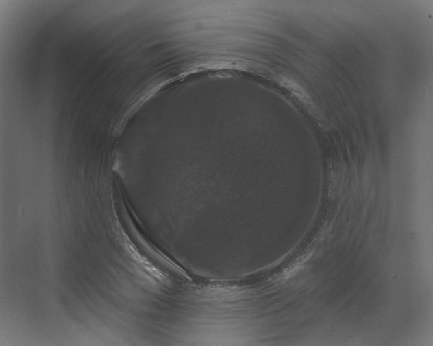 X0000070220977200606021317