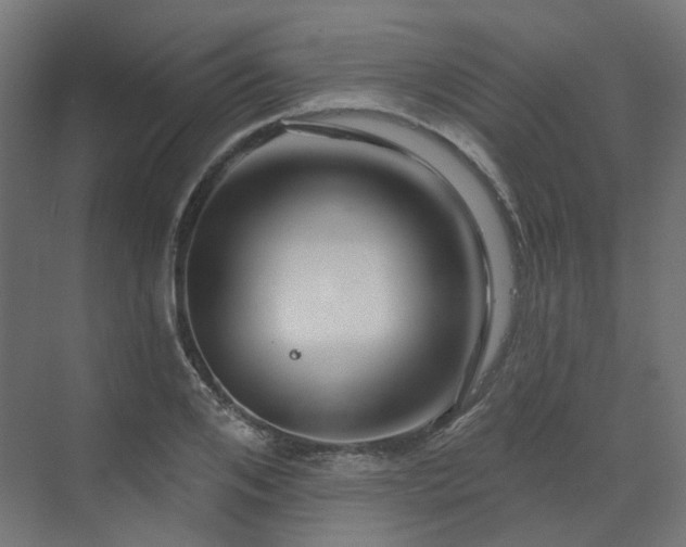 X0000070220984200606021317