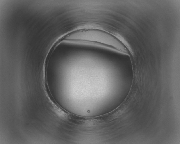 X0000070220988200606021317