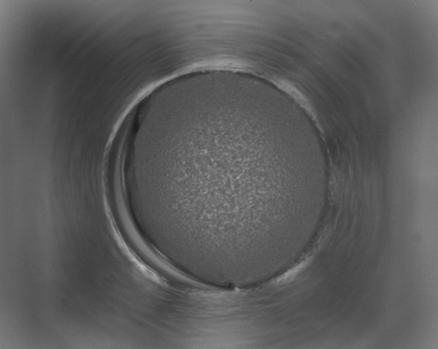 X0000070220989200606021317