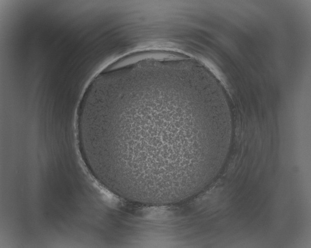 X0000070220990200606021317