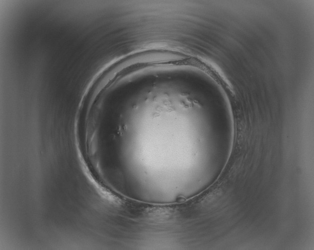 X0000070220991200606021316