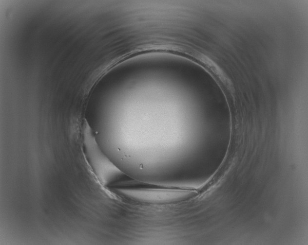 X0000070220993200606021316