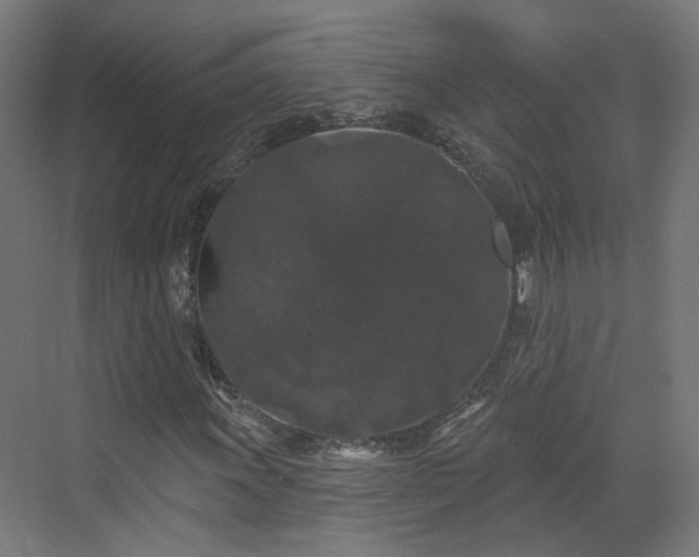 X0000070221011200606021315