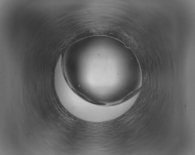 X0000070221012200606021315
