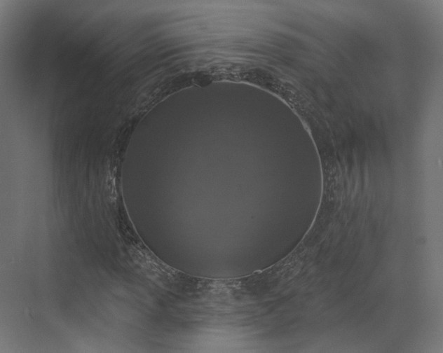 X0000070221013200606021315
