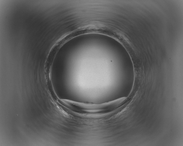 X0000070221018200606021316