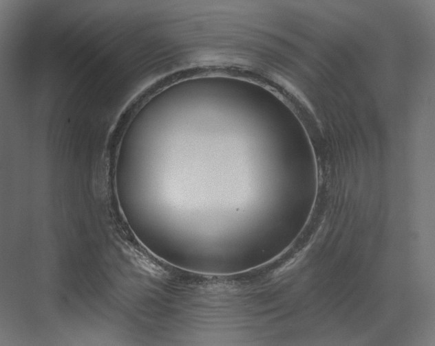 X0000070221021200606021316