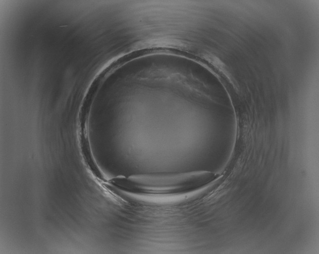 X0000070221024200606021316