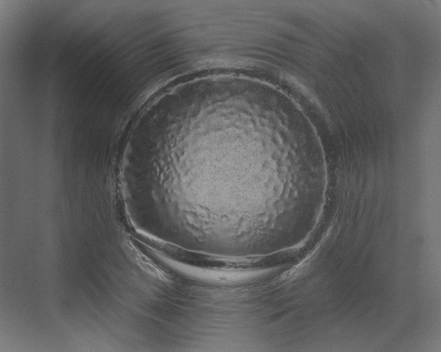 X0000070221025200606021316
