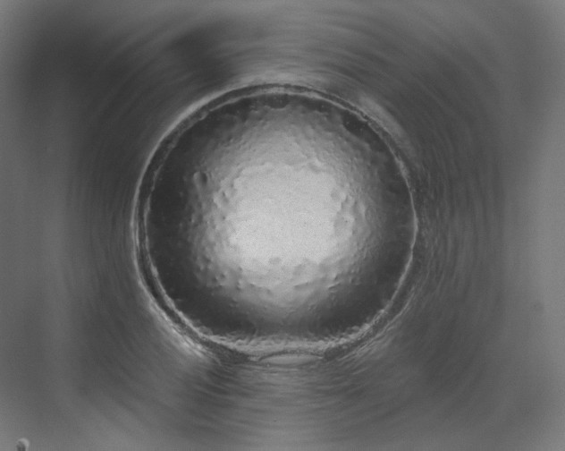 X0000070221028200606021316