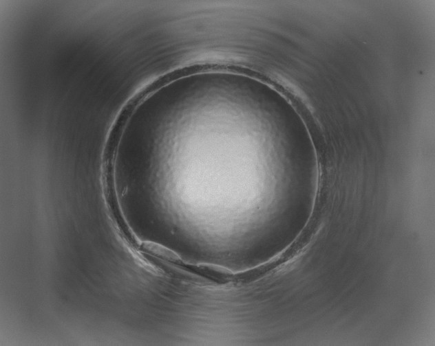 X0000070221029200606021316