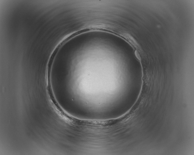 X0000070221036200606021316