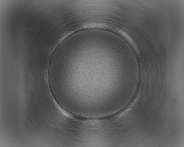 X0000070221041200606021316
