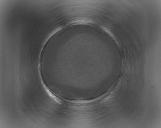 X0000070221042200606021316