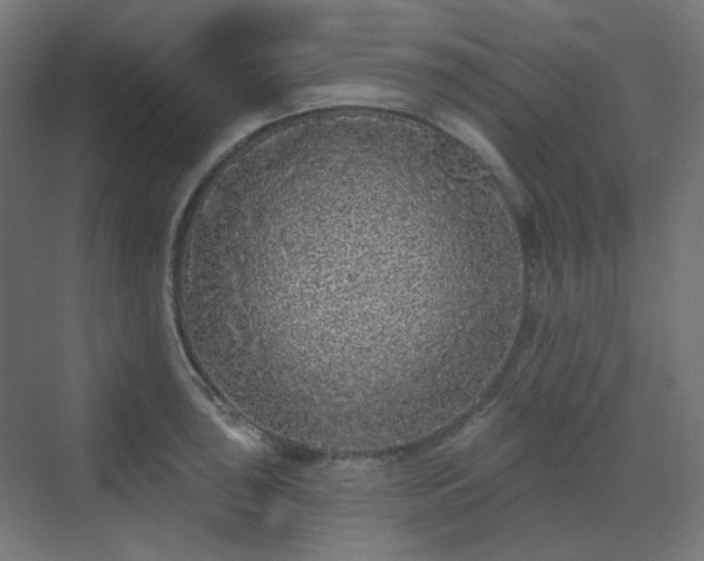 X0000070221043200606021316