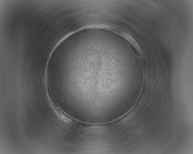 X0000070221044200606021316